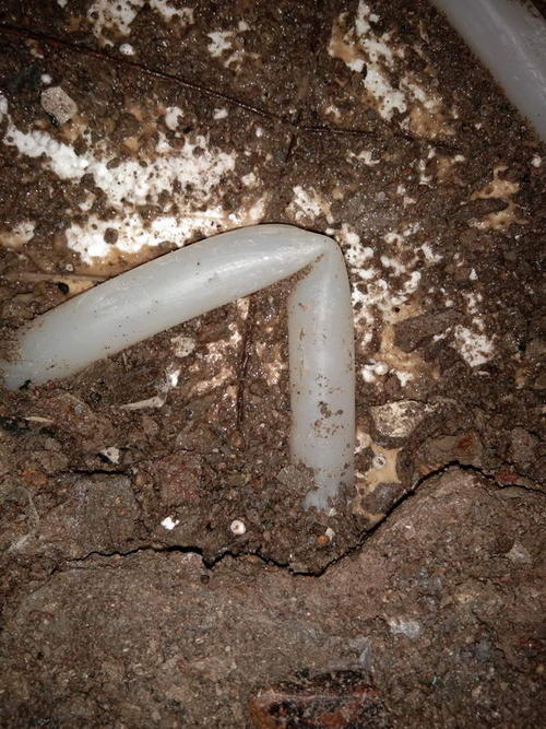 平果堵点精准查找